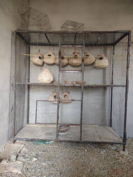 parrot cages 5