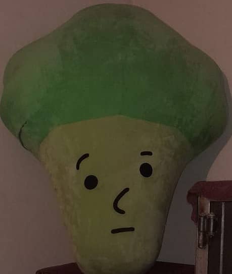 Fruit series plush toy ( Broccoli) 0