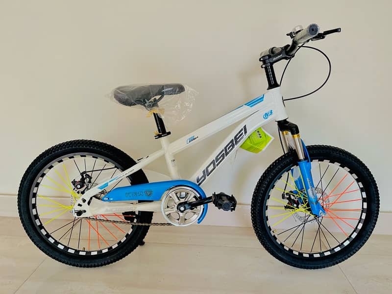 KIDS MOUNTAIN BIKE 1