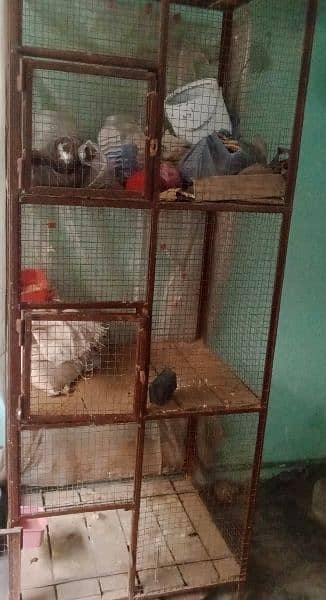 Cage for Hens & Birds. 3