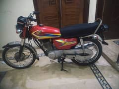 Honda 125 (2019 Model Red Color) NEAT AND CLEAN Bike