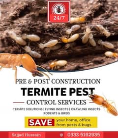 Termite/Pest control treatment/deemak control service/spray fumigation