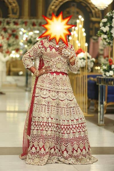 Beautiful Branded Lehnga dress complete 1