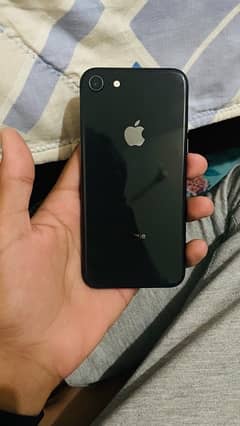 iphone 8 scrachless phone non pta
