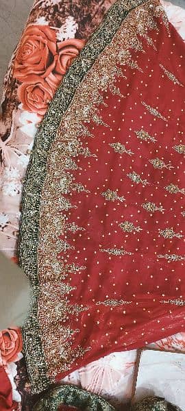 bridle lehnga 03214504388 2