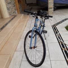 Cycle/bike/bicycle