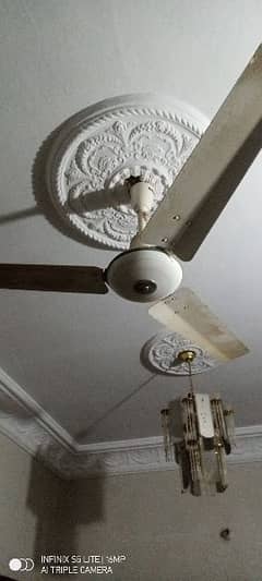 Best Conventional Fan - Super Quality