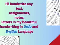 English n urdu assignment writing
