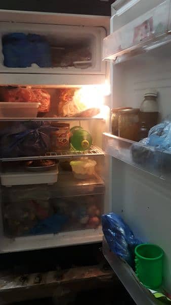 Pel refrigerator 1