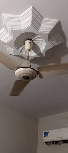 Original ceiling pak fan