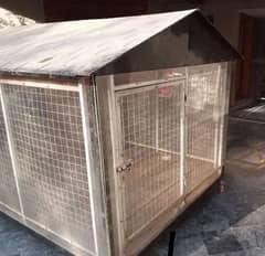 Dogs/ cats/ hens/ birds/ cage for sale in lhr contact# 030-444-532-00