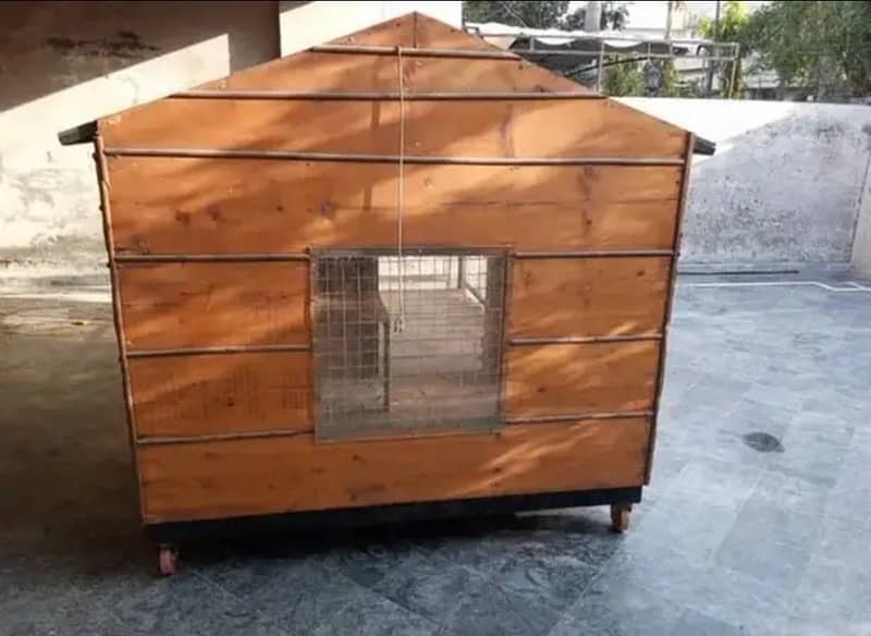 Dogs/ cats/ hens/ birds/ cage for sale in lhr contact# 030-444-532-00 1