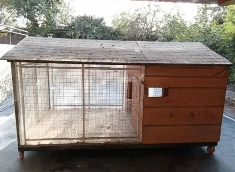 Dogs/ cats/ hens/ birds/ cage for sale in lhr contact# 030-444-532-00 4