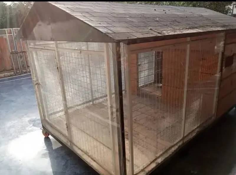 Dogs/ cats/ hens/ birds/ cage for sale in lhr contact# 030-444-532-00 7