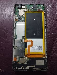 Hawaii P8lite board and battery