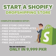 I will create your website store - shopify - Start your Business