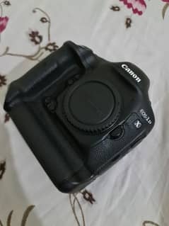 Canon 1DX body full frame