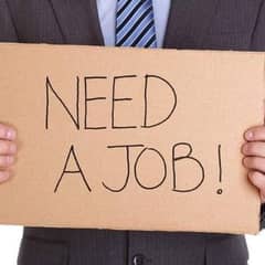 Looking for a job am a driver need urgent job contact 03115798126