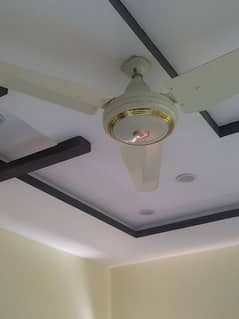 ceiling fan best quality (time Star )