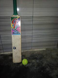 cp bat and ball 0