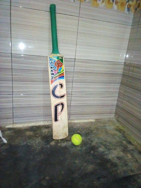 cp bat and ball 1