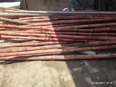 Bamboo For Sale بانس برائے فروخت