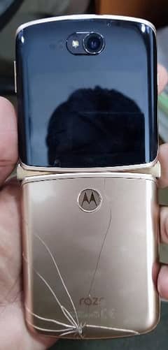 Motorola