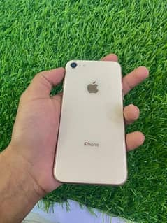 IPhone 8 pta approved 0