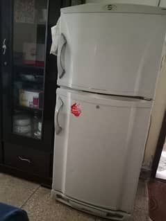 Pel fridge medium size for sale