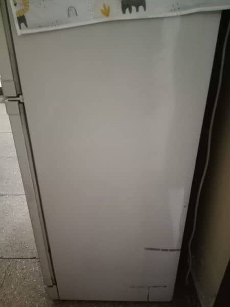 Pel fridge medium size for sale 2