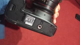 6d canon with fish sye lens