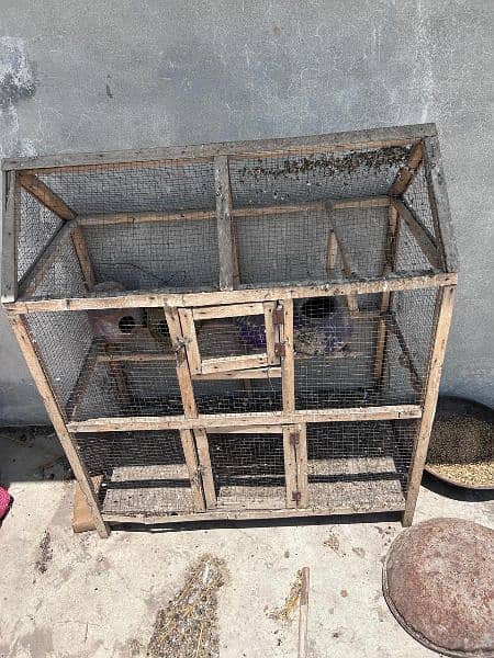 parrot cage for sale 0
