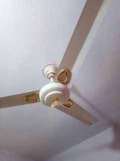 ceiling fan available in good condition