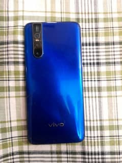 vivo