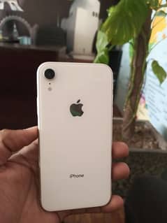 iphone xr LL model Non PTA