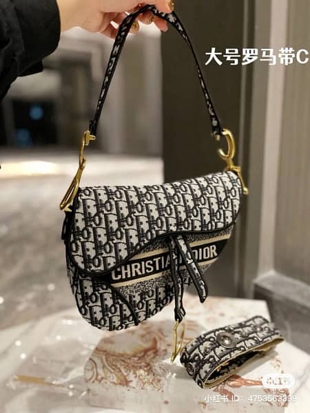 Christian Dior premiuim quality bags 6