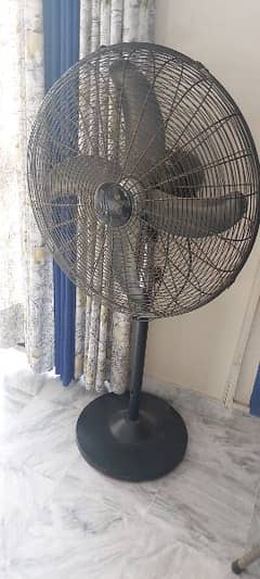 fan