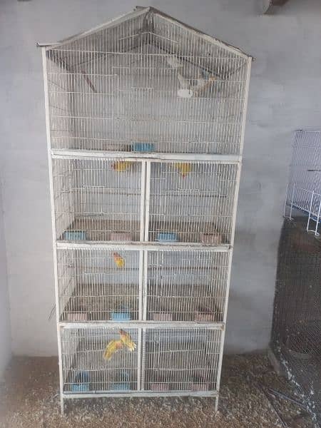 5 pair Common Lotino with Cages 5