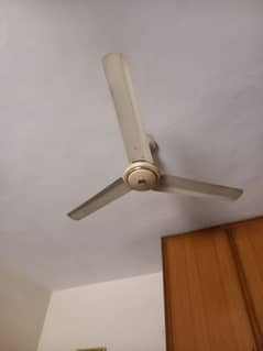 4 ceiling fans in good running condition.