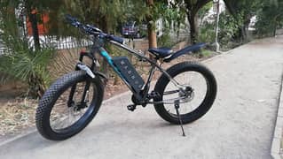 Fat Tyre Electric Bicycle/Electric Cycle