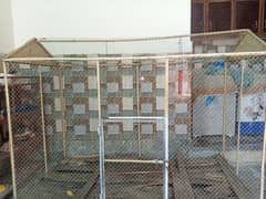 Parrot cage