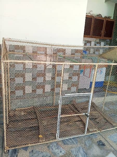 Parrot cage 1