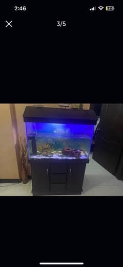 fish aqurium with cabnet