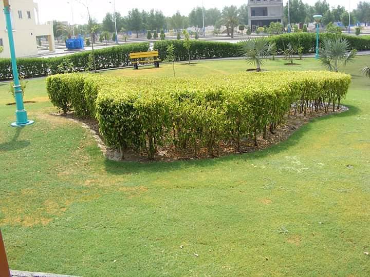 Plot No 196/34# eastren ext facing park for sale with No transfer fee and tax 18