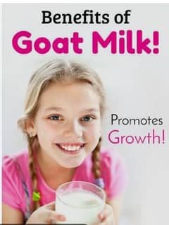 Title
Goat Milk بکری کا خالص دودھ