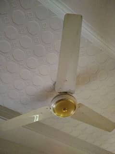 ceiling fans