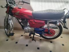 Honda 125 2022/2023