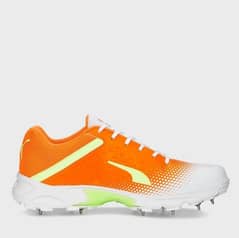 Puma Mens Cricket Spike 22.2