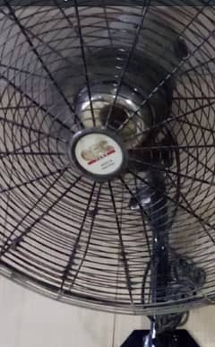 Fan