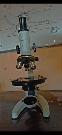 COMPOUND MICROSCOPES